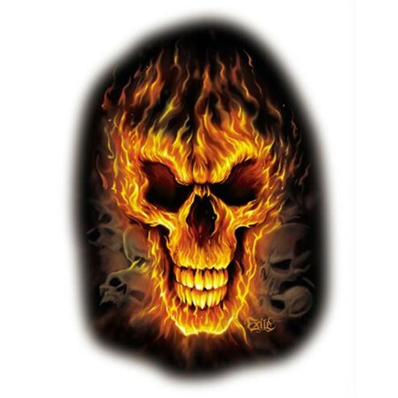 Vertex Poster VE1077526